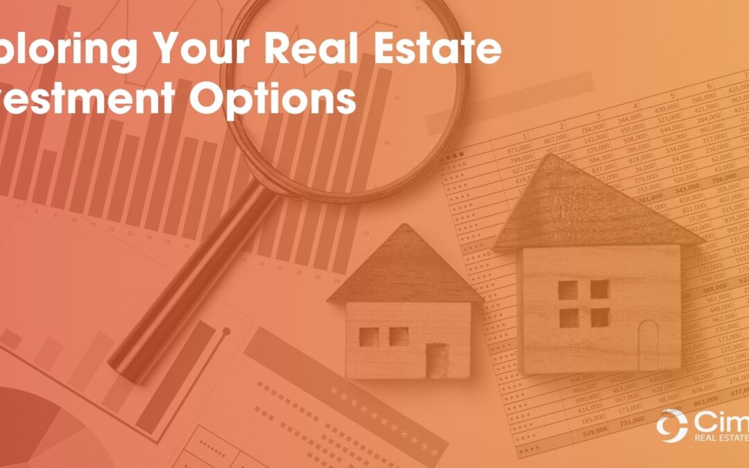 Exploring Your Real Estate Investment Options